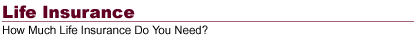 Life Insurance